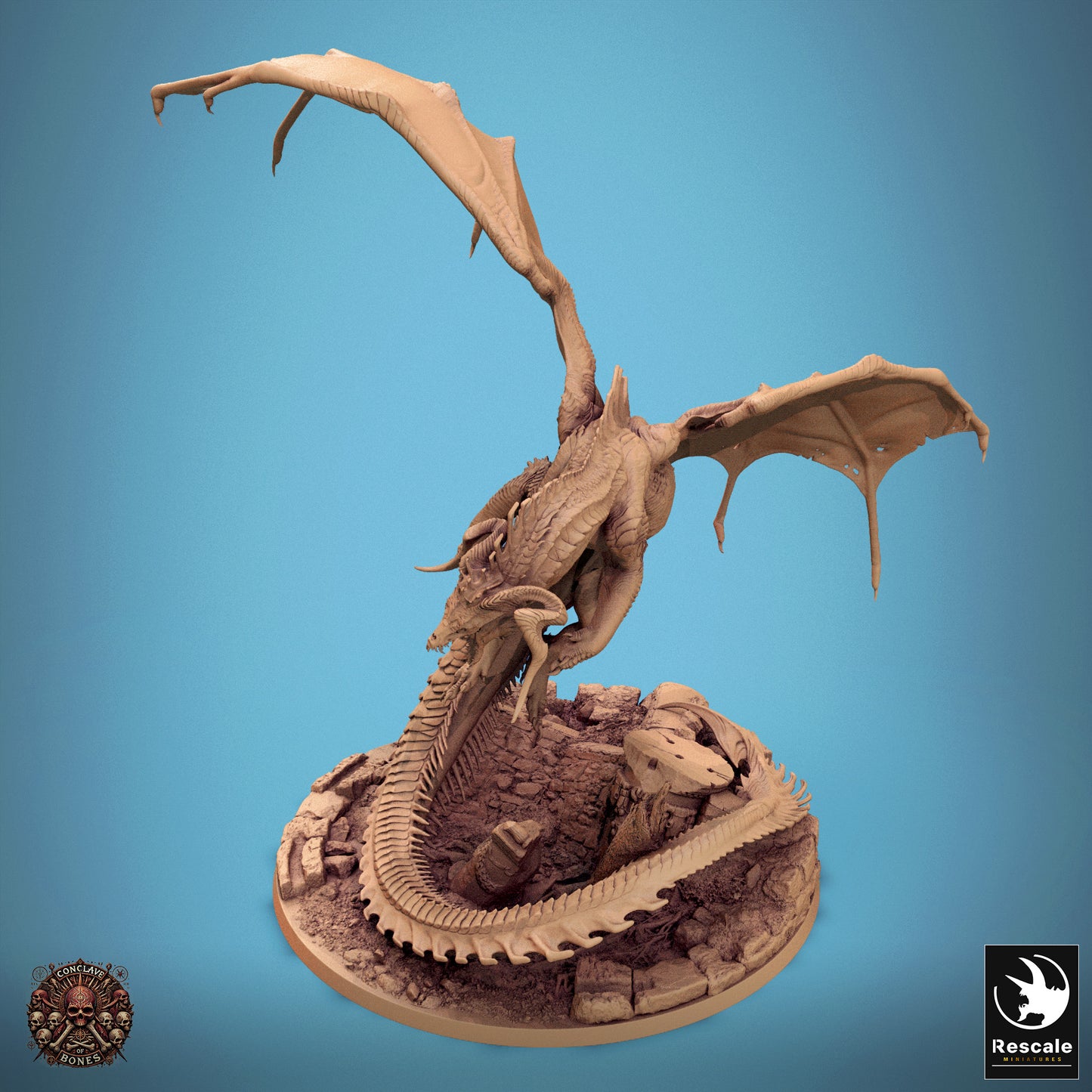 Chromatic Black Dragon
