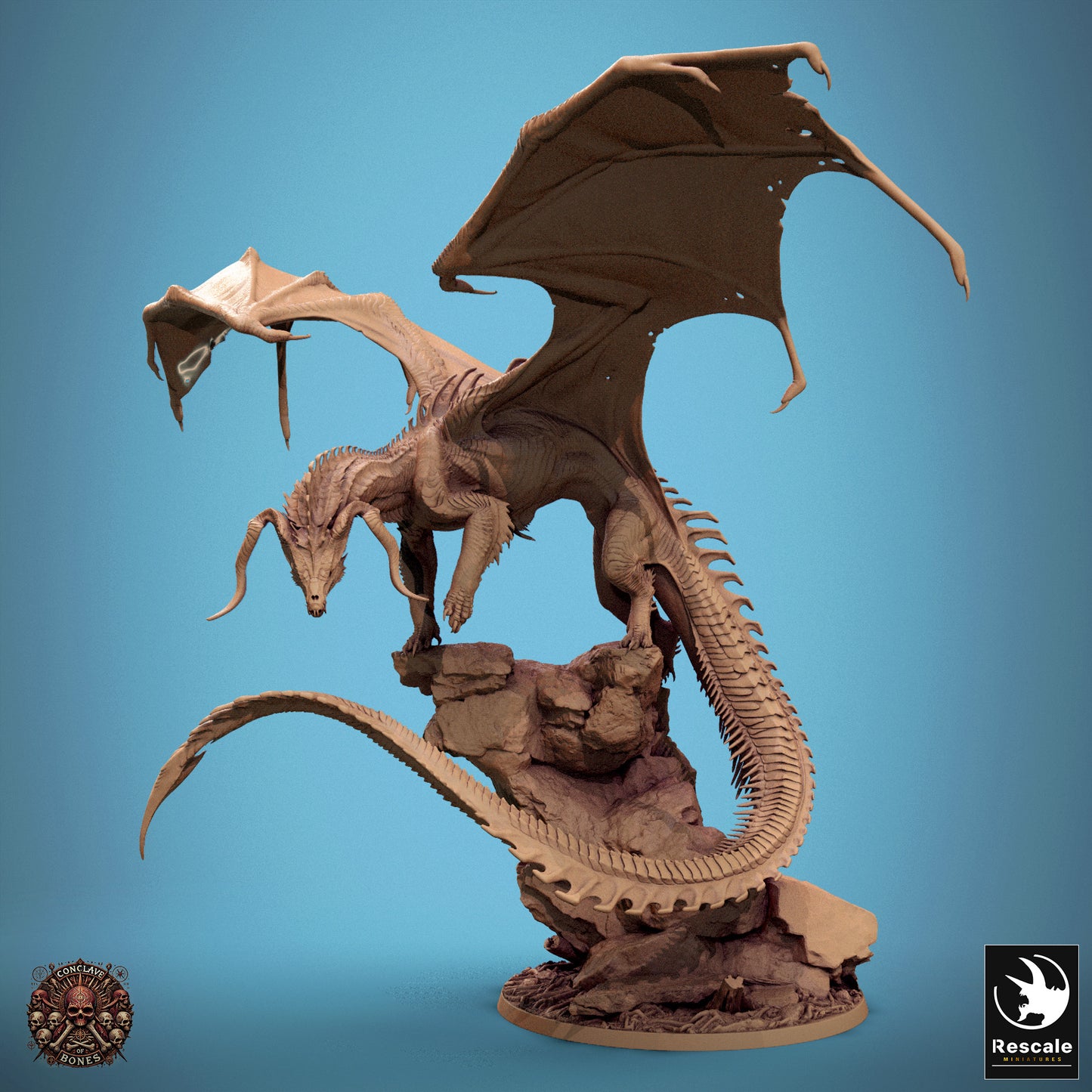 Chromatic Black Dragon