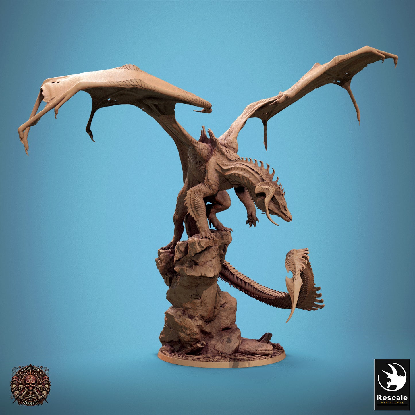 Chromatic Black Dragon