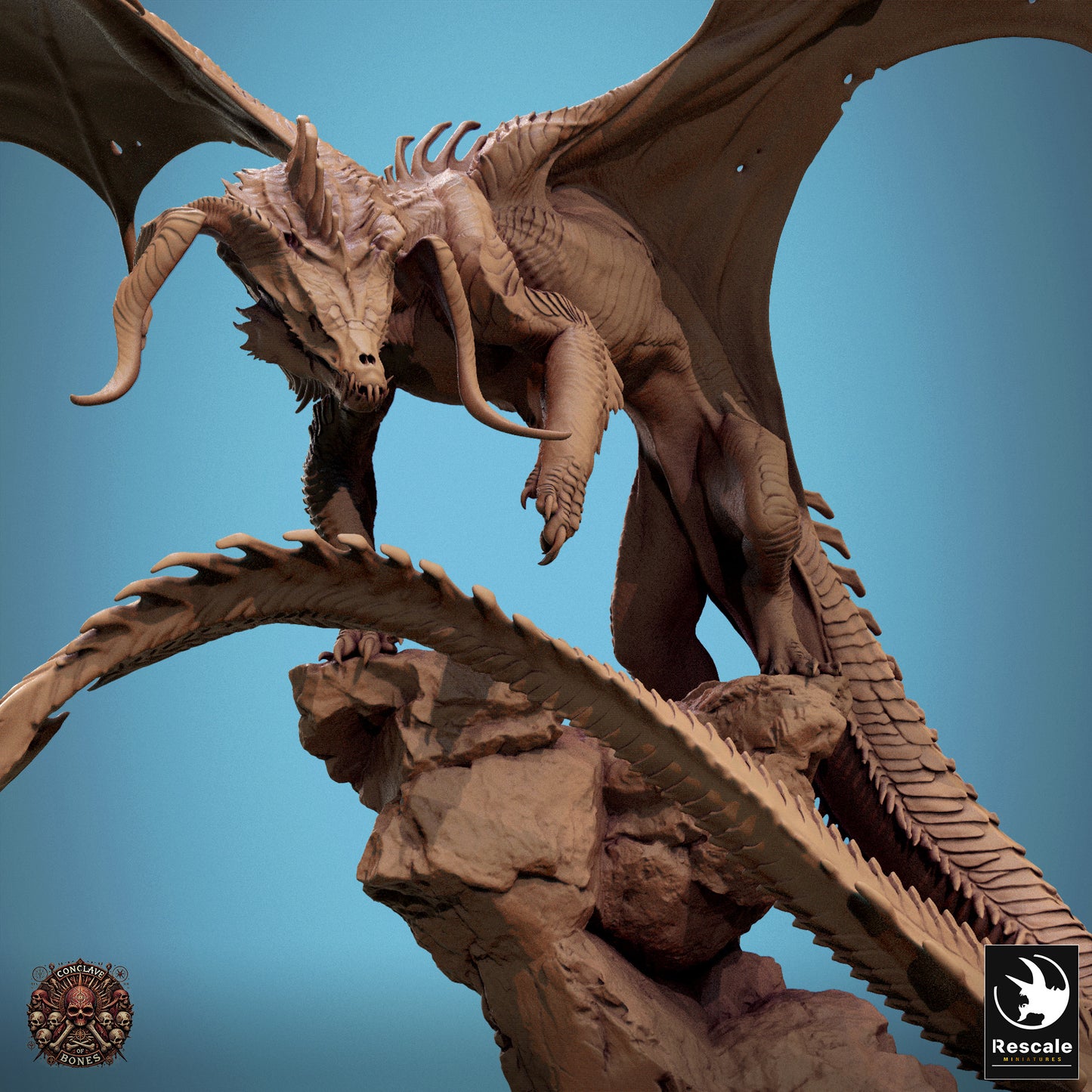 Chromatic Black Dragon