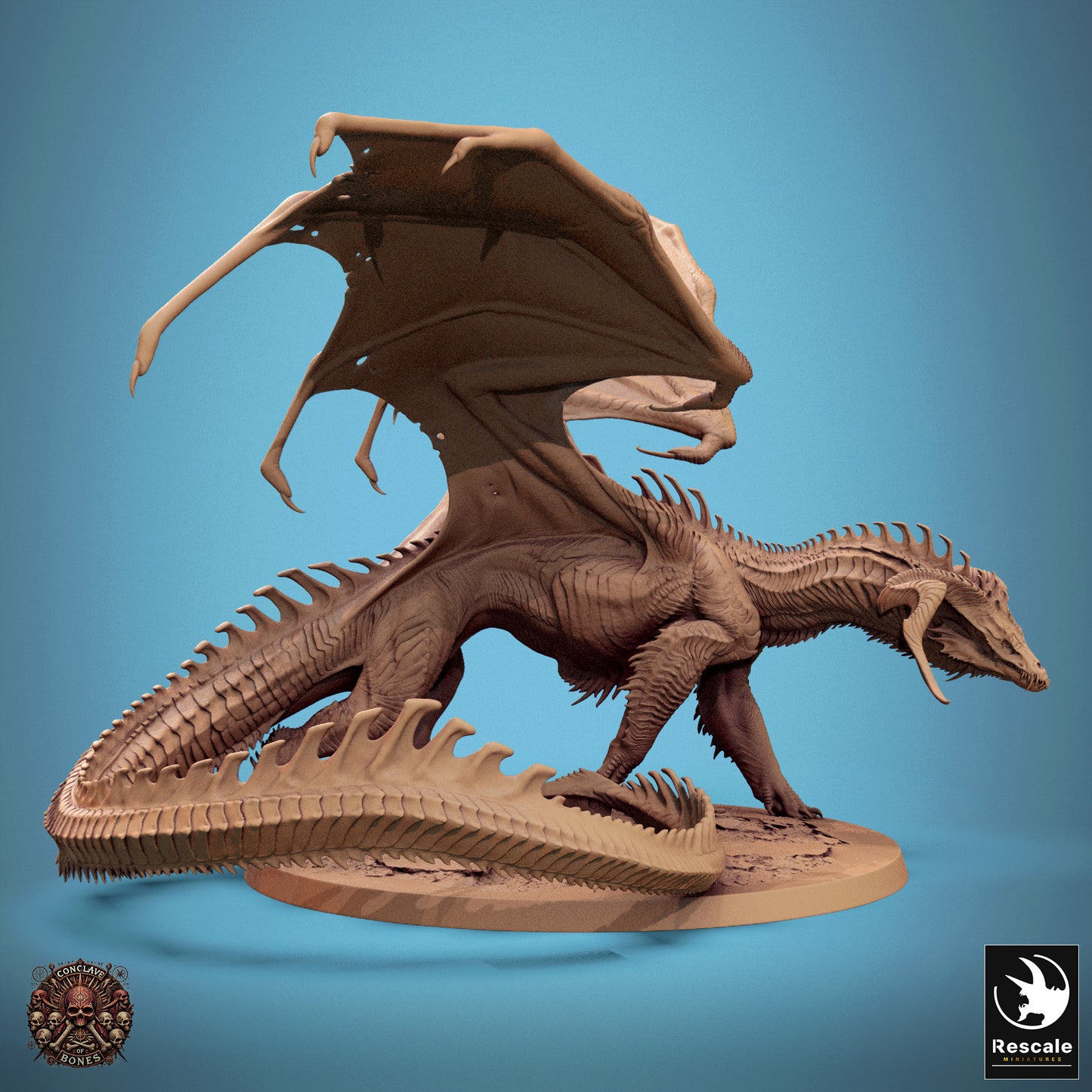Chromatic Black Dragon