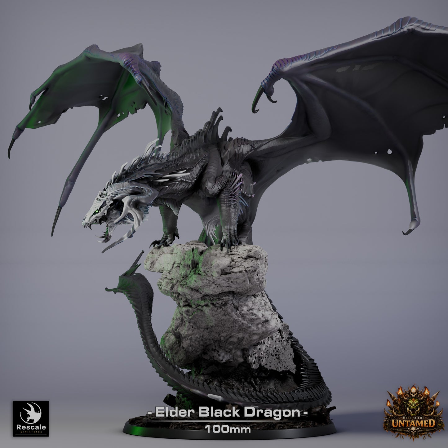 Elder Black Dragon // Miniature DND