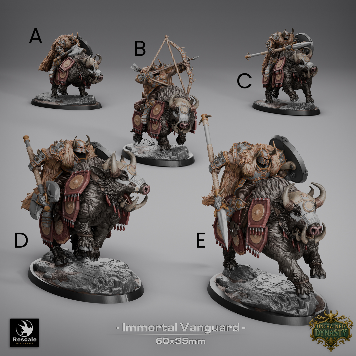Immortal Vanguard // DND Miniature