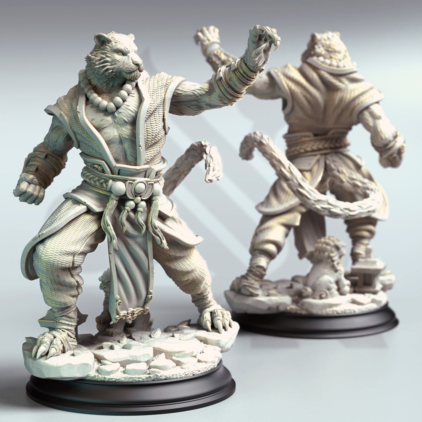 Raiko - Tiger Monk