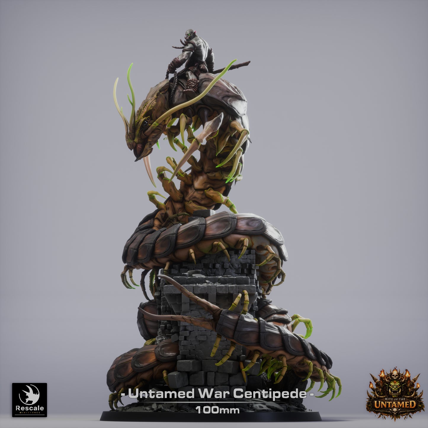 War Centipede// Miniature DND