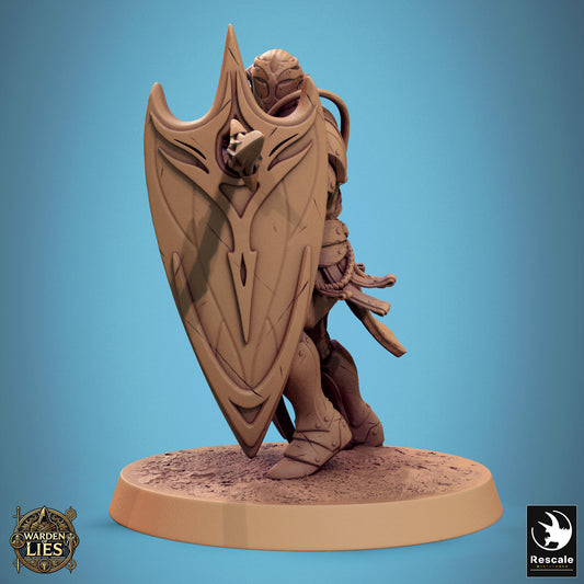 Moon Elf Sentinel – Spear & Shield