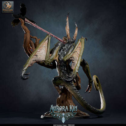 Adult Cameleon Dragon // D&D Miniature Monstrosity