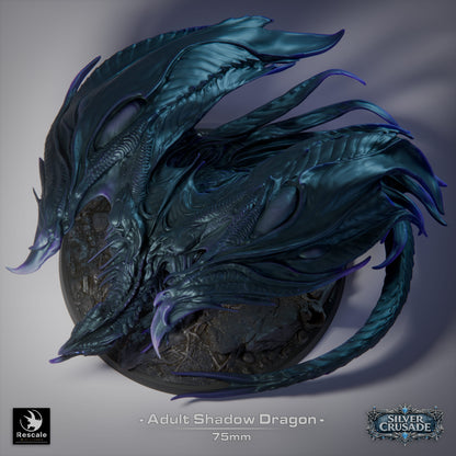 Adult Shadow Dragon - D&D Miniature
