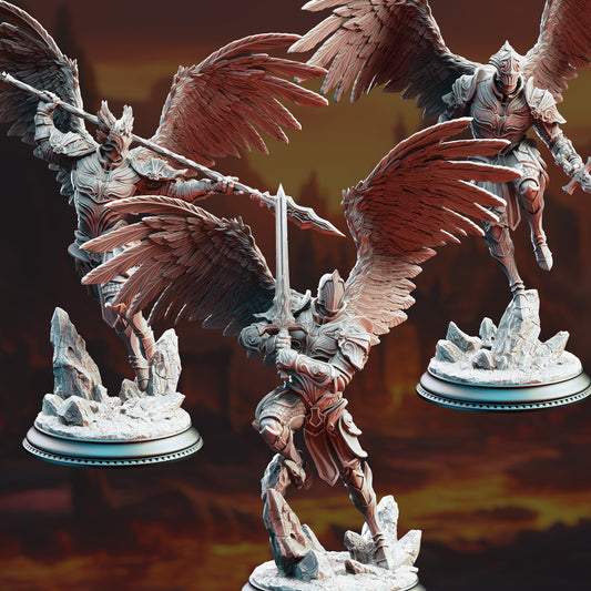 Angels of Syelden - Selvaneri Warriors