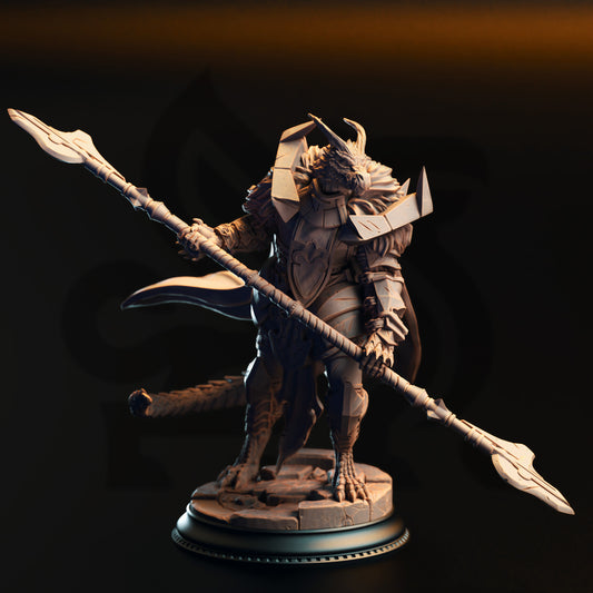 Apokris the Resolute - Silver Dragonkin Paladin