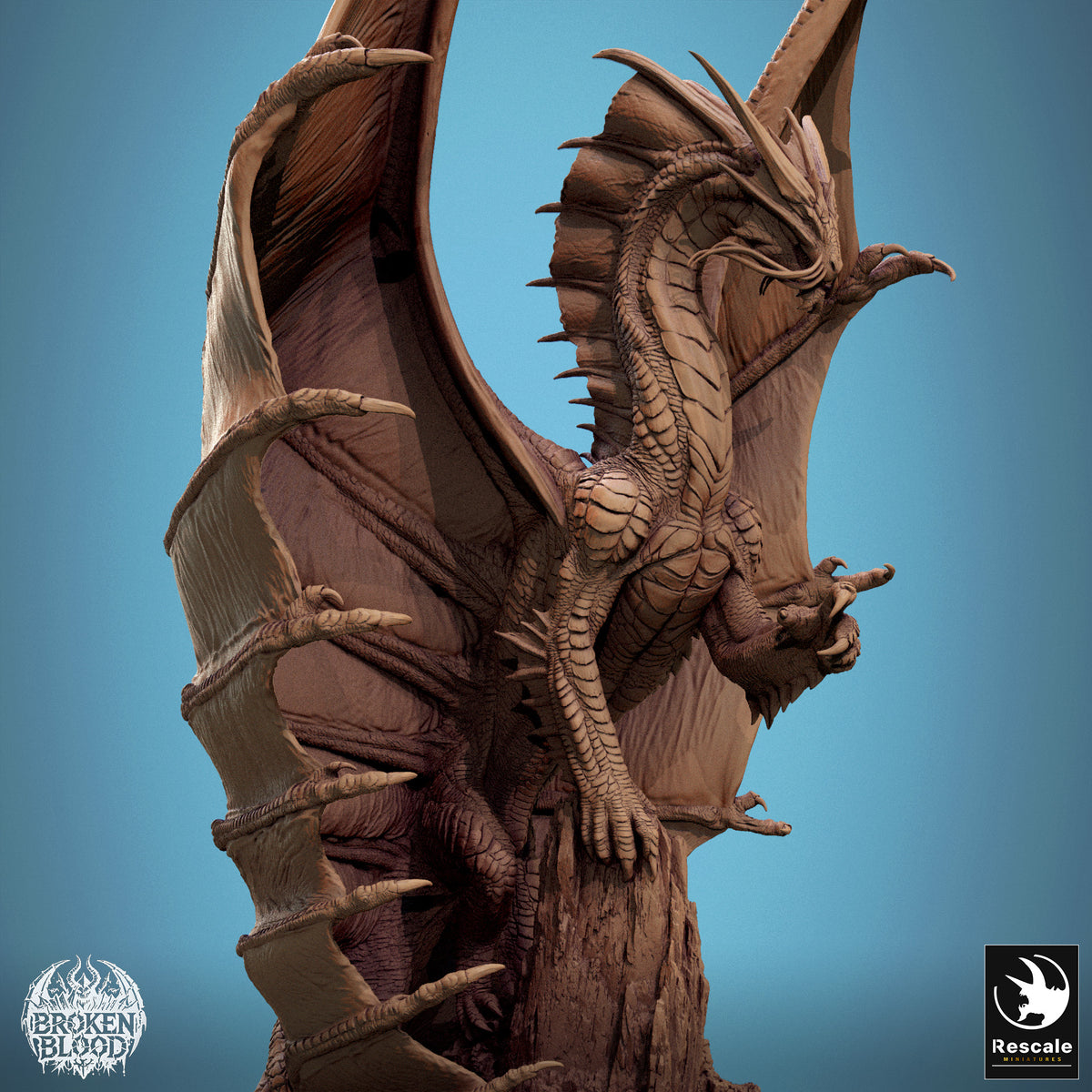 Old Gold Dragon Talking