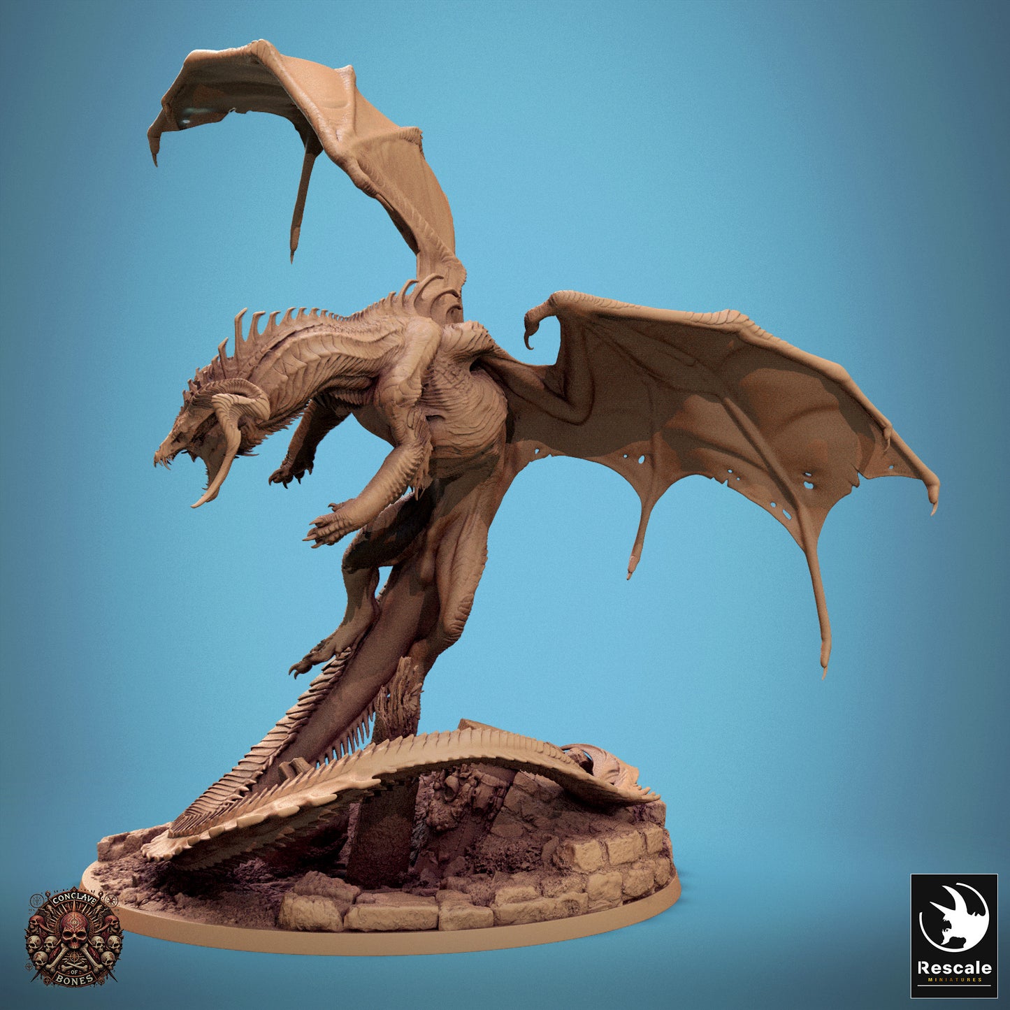 Chromatic Black Dragon