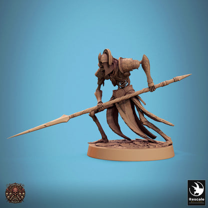 Persian Spearman Skeleton