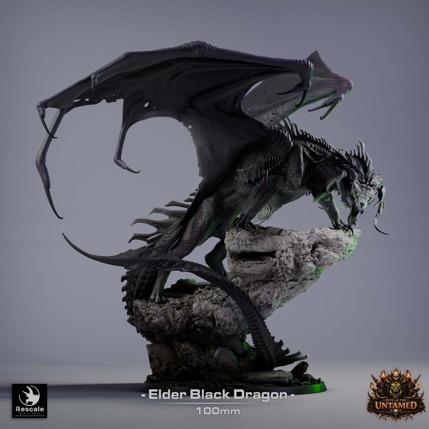Elder Black Dragon // Miniature DND