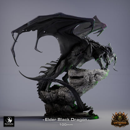Elder Black Dragon // Miniature DND