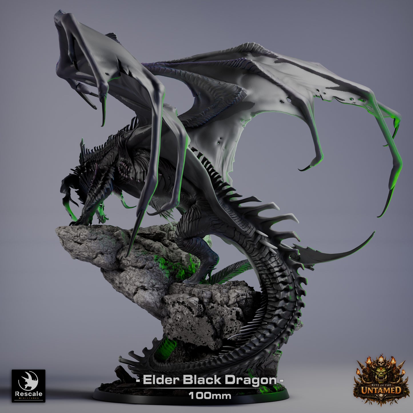 Elder Black Dragon // Miniature DND