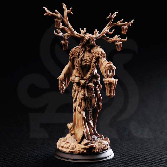 Elderwood Draugr