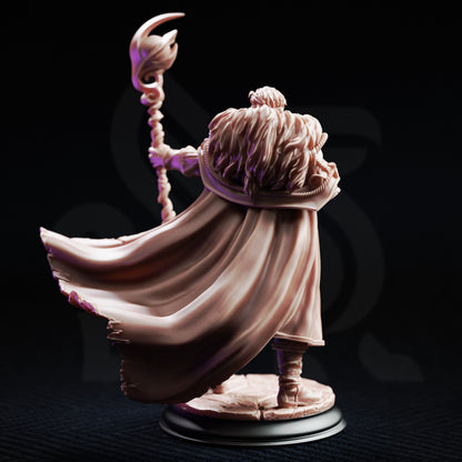 Frederik Vahlen - Professor of Progress // D&D Miniature