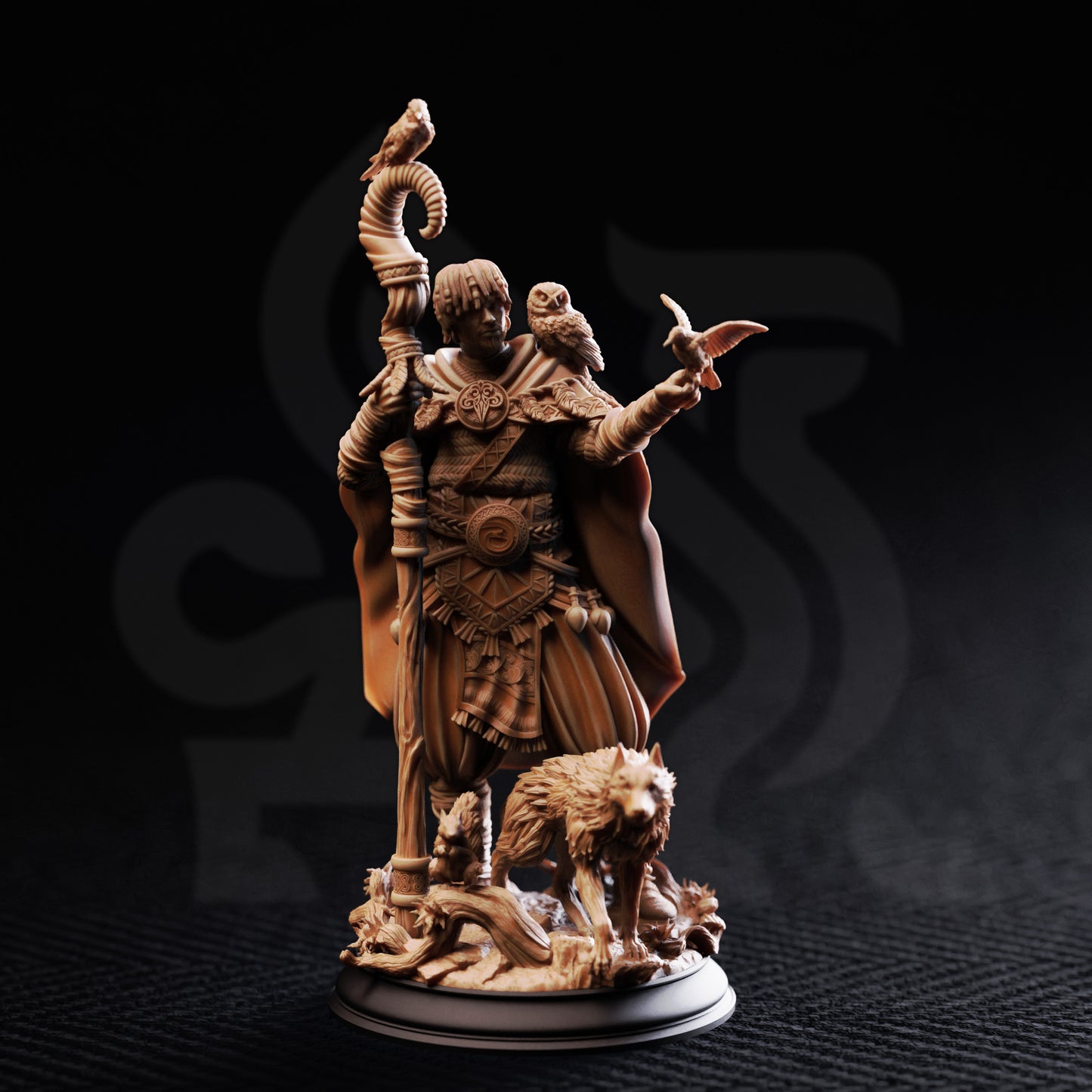 Gwambari - Northen Druid