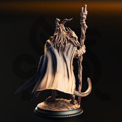 Horzin Ashen Palm - Black Dragonkin Druid