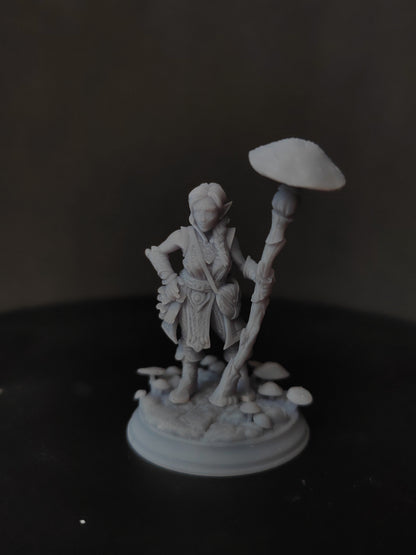 Cordelia the Homestead Hermit – Halfling Druid