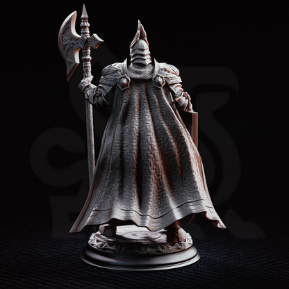 Lars von Findros - Elite Knight of the North // D&D Miniature