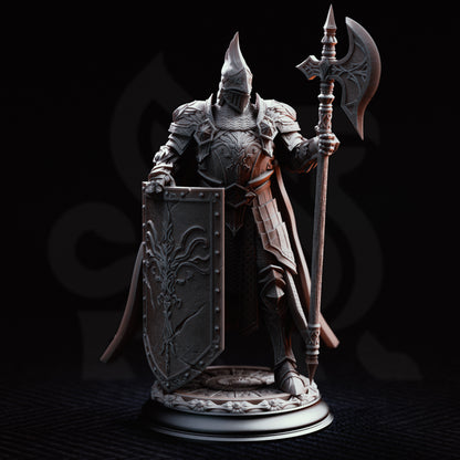 Lars von Findros - Elite Knight of the North // D&D Miniature