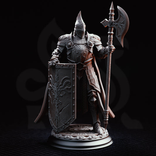 Lars von Findros - Elite Knight of the North // D&D Miniature