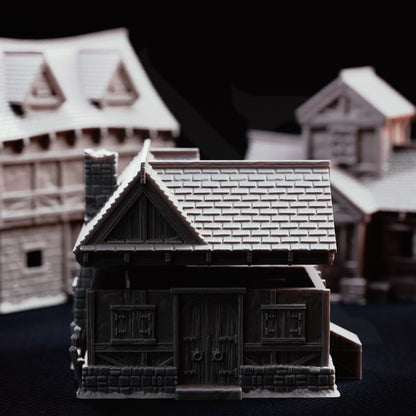 Limlight - Plagued Village // D&D Terrain