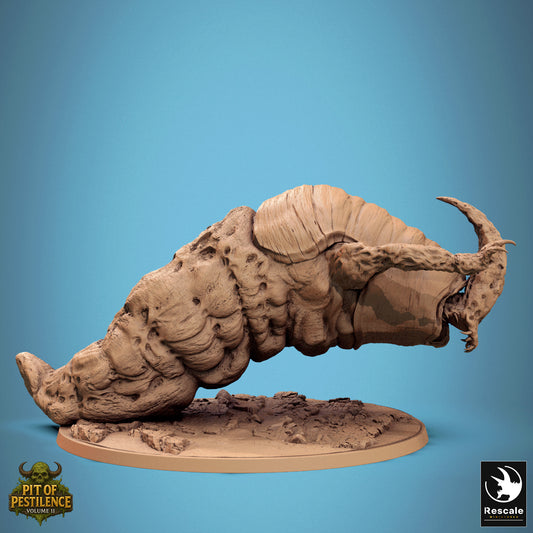 Morebound Crawler Wild