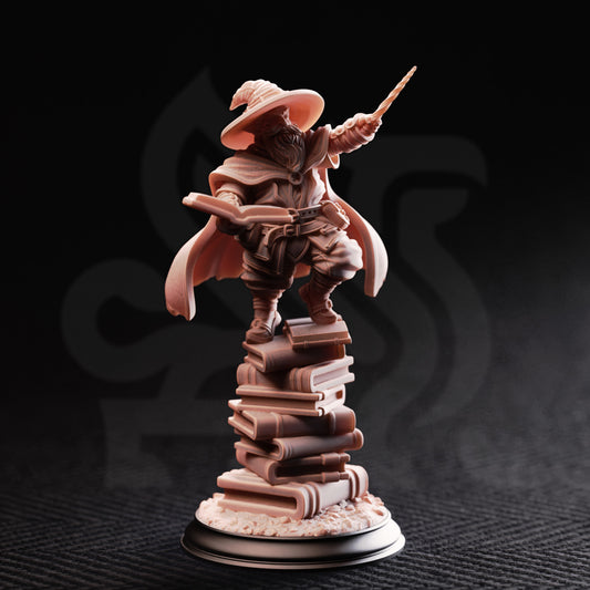 Pepitos the Manic - Professor of the Arcane // D&D Miniature