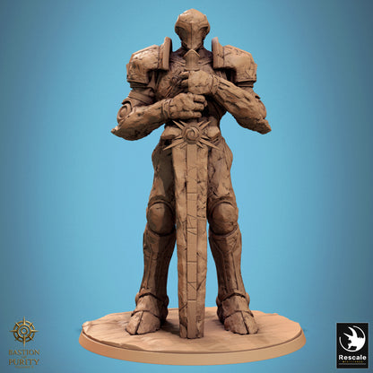 Sanctified Stoneguard - Monster