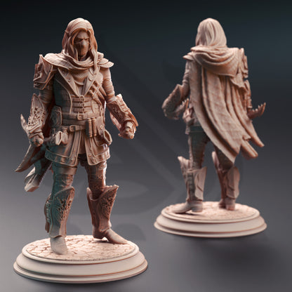 Sylvios - Elven Rogue 