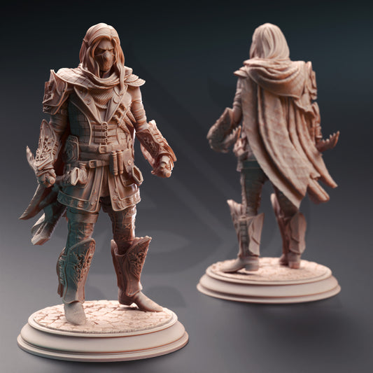 Sylvios - Elven Rogue