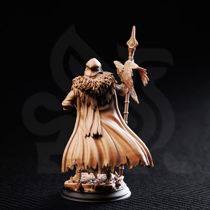 The One-Eyed Wanderer