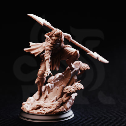 Tira din Ținuturile Îndepărtate - Rangher Străin