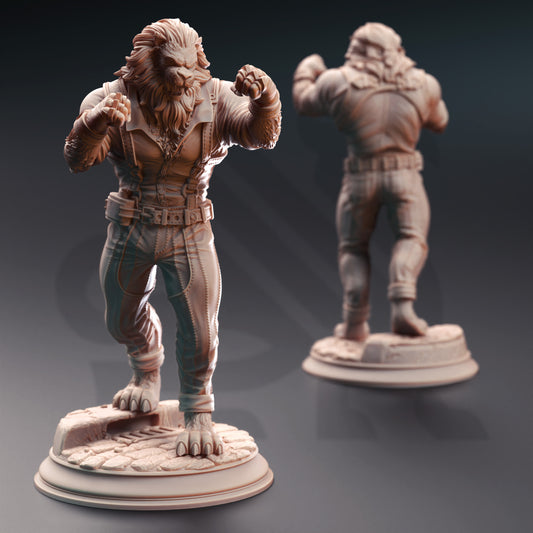 Vaa'Dren - Leonin Bouncer