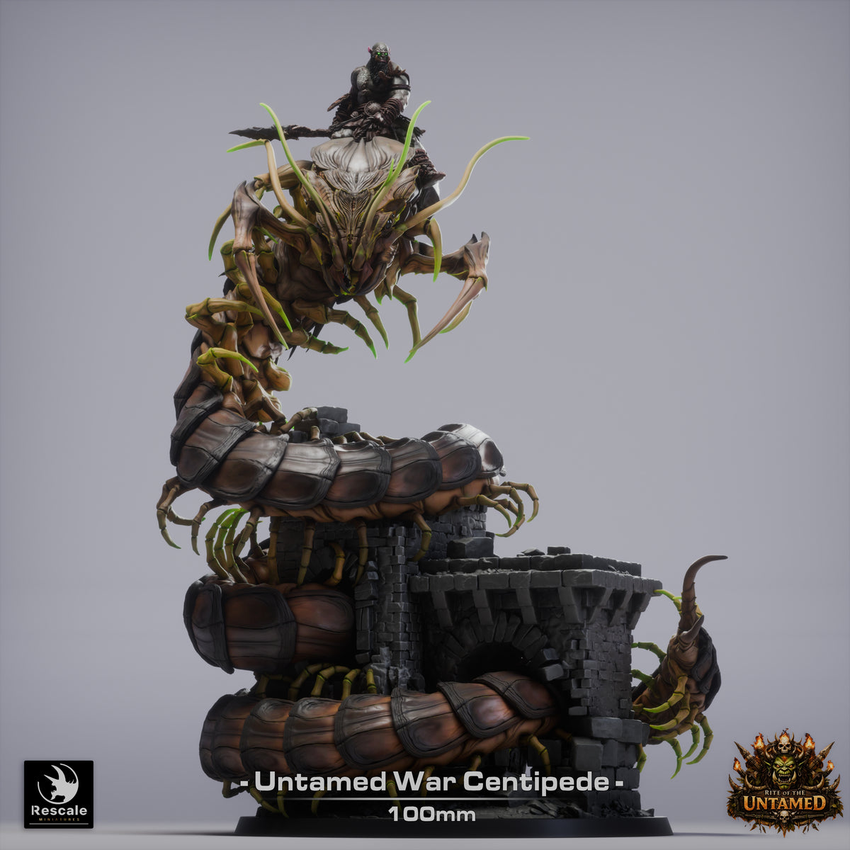 War Centipede// Miniature DND
