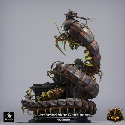 War Centipede// Miniature DND