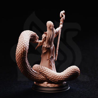 Zarya - Sun Elf Snake Sorceress // DND Miniature